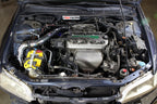 HPS Performance Cold Air Intake Kit Installed 1998-2002 Honda Accord 2.3L DX EX LX VP SE 837-579R